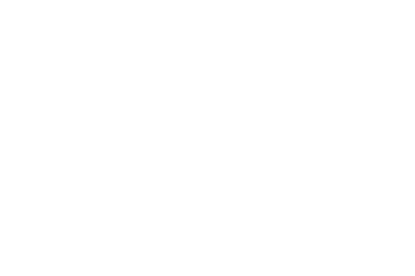 404