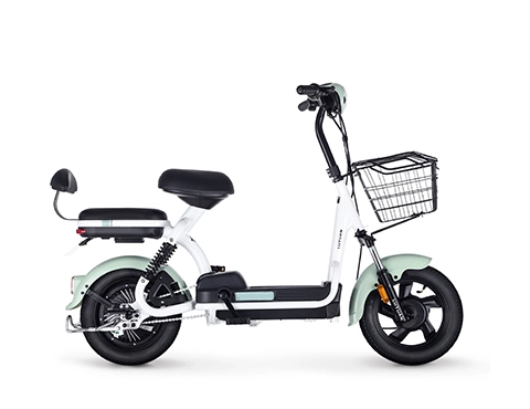 Electric Bicycles