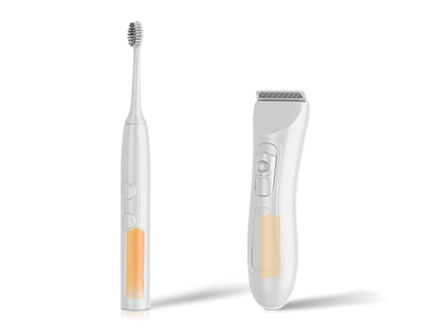 Electric toothbrush and electric razor